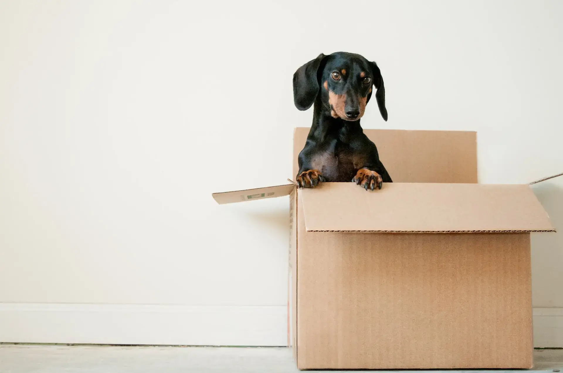 Move In/Out Cleaning